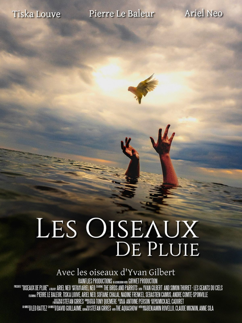 Les Oiseaux De Pluie (Les Oiseaux De Pluie )